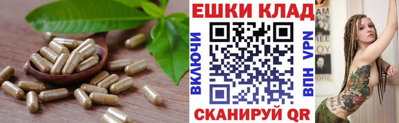 Экстази Cube Михайлов