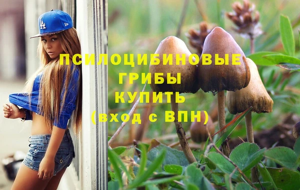 дмт Богородск