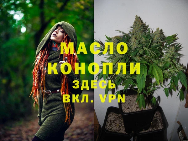 дмт Богородск